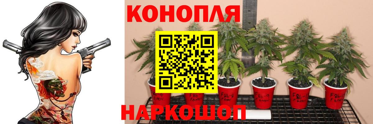Конопля ГИДРОПОН  Вход с VPN  Каннабис марихуана  Лангепас  Каннабис White Widow 